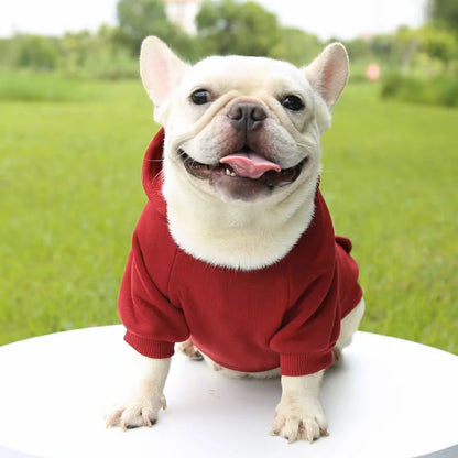 Cozy Winter Hoodie for Small to Medium Pets