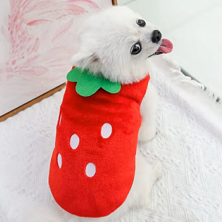 Cozy Winter Vest for Small Pets - Warm & Stylish