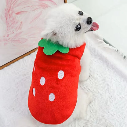 Cozy Winter Vest for Small Pets - Warm & Stylish