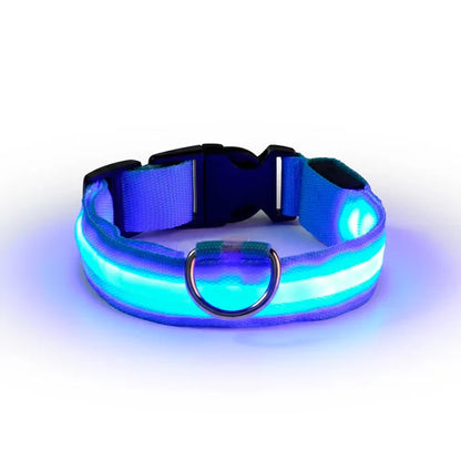 Luminous LED Safety Dog Collar - High Visibility for Night Walks