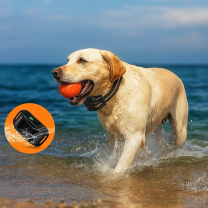 Smart Control Dog Training Collar - 800m Range, Waterproof & Rechargeable